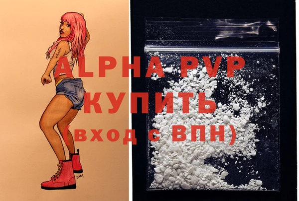 дживик Краснослободск