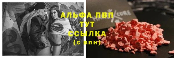 дживик Краснослободск