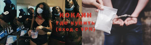 дживик Краснослободск