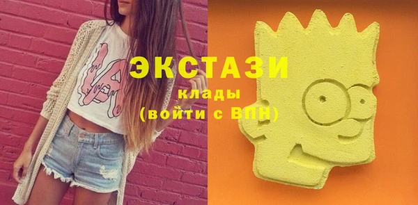 дживик Краснослободск