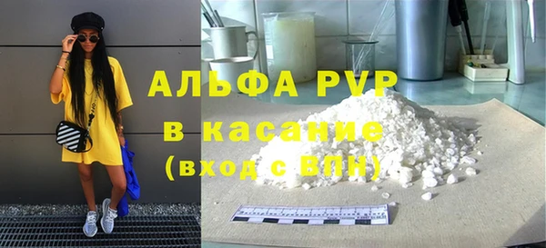 дживик Краснослободск
