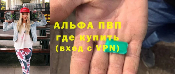 дживик Краснослободск