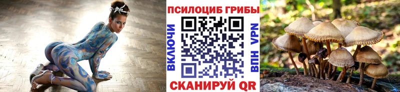 Псилоцибиновые грибы Psilocybe  Купить где  Снежногорск 